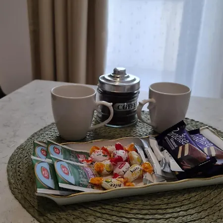 Jafar 5 Апартаменты Тимишоара